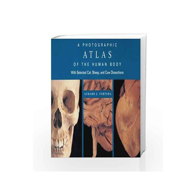 A Photographic Atlas of the Human Body: With Selected Cat, Sheep, and Cow Dissections by Chahal U.S Book-9780471374879