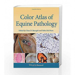 Color Atlas of Equine Pathology by Buergelt C.D. Book-9780470962848