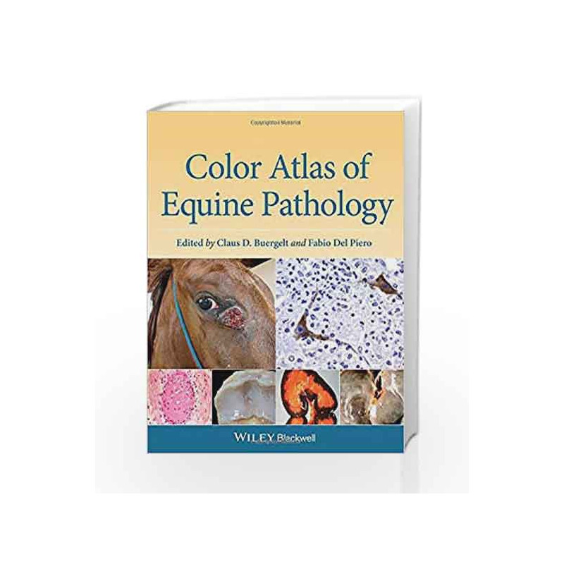 Color Atlas of Equine Pathology by Buergelt C.D. Book-9780470962848