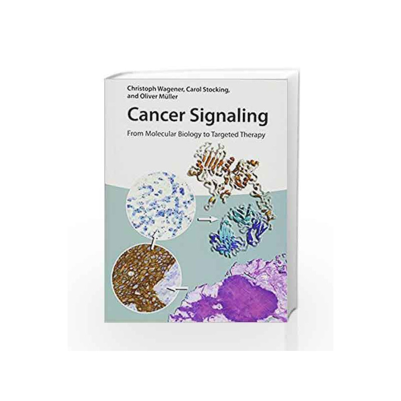 Cancer Signaling: From Molecular Biology to Targeted Therapy by Wagener C Book-9783527336586