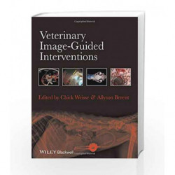 Veterinary ImageGuided Interventions by Weisse C Book-9781118378281