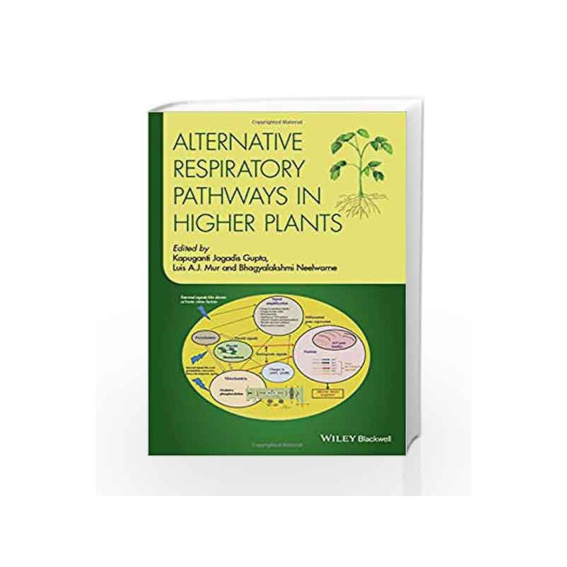 Alternative Respiratory Pathways in Higher Plants by Gupta K J Book-9781118790465