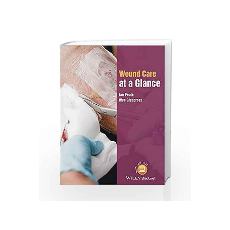 Wound Care at a Glance (At a Glance (Nursing and Healthcare)) by Peate I. Book-9781118684672