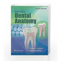 Woelfels Dental Anatomy by Scheid R C Book-9781496320223