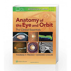 Anatomy of the Eye and Orbit: The Clinical Essentials by Freddo T F Book-9781469873282