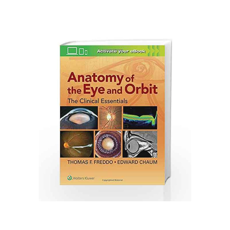 Anatomy of the Eye and Orbit: The Clinical Essentials by Freddo T F Book-9781469873282