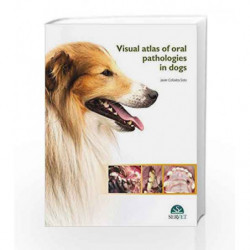 Visual Atlas Of Oral Pathologies In Doges (Hb 2016) by Soto J C Book-9788416315772