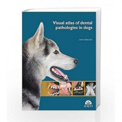 Visual Atlas Of Dental Pathologies In Dogs (Hb 2015) by Soto J C Book-9788416315055