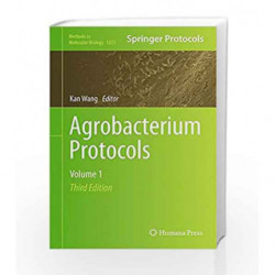 Agrobacterium Protocols: 1 (Methods in Molecular Biology) by Wang K. Book-9781493916948