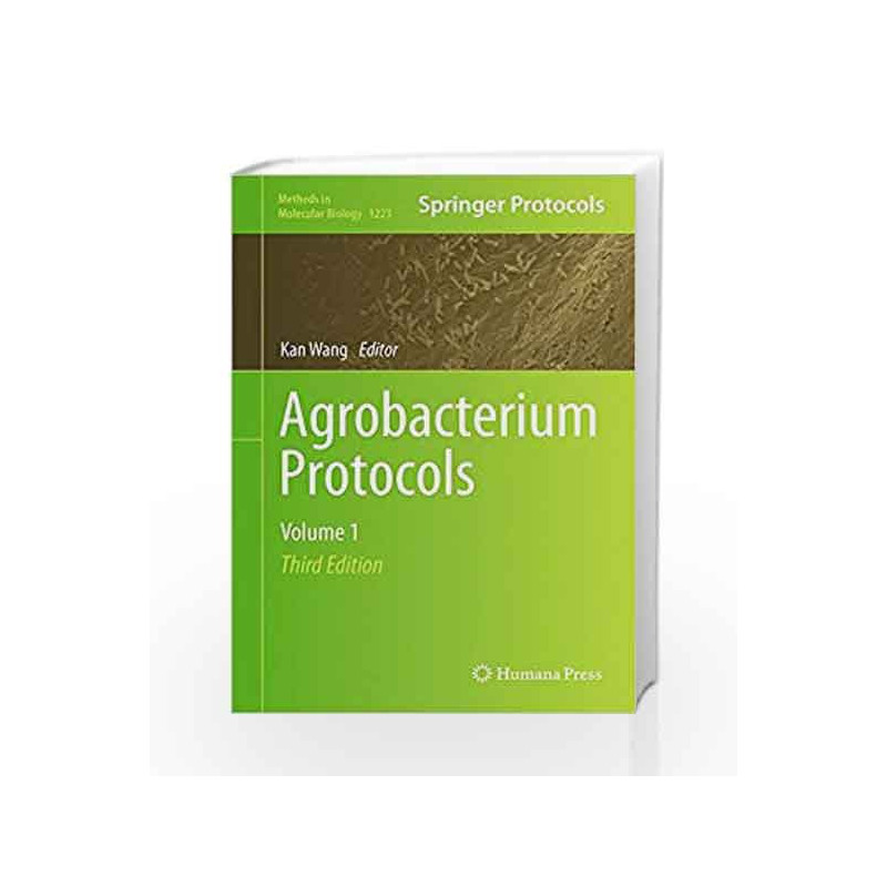 Agrobacterium Protocols: 1 (Methods in Molecular Biology) by Wang K. Book-9781493916948