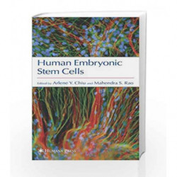 Human Embryonic Stem Cells by Chiu A.Y. Book-9781588293114