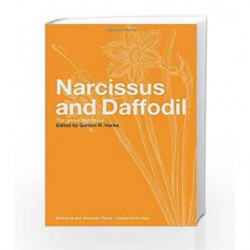 Narcissus and Daffodil: The Genus Narcissus (Medicinal and Aromatic Plants - Industrial Profiles) by Hanks Book-9780415273442