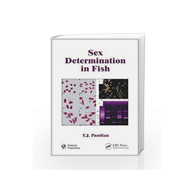 Sex Determination in Fish by Pandian T.J. Book-9781578087488